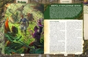 Pathfinder. НРИ. Вторая редакция. Серия приключений Kingmaker (18+) — фото, картинка — 1
