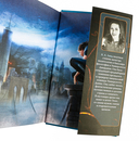 Библиотека Остролиста — фото, картинка — 3