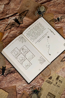 Таинственный дневник — фото, картинка — 13