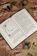 Таинственный дневник — фото, картинка — 9