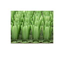 Коврик придверный 