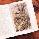 The Fellowship Of The Ring — фото, картинка — 3