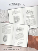 Падение Нуменора — фото, картинка — 4