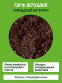 Торф низинный 