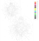 Картина по номерам c люминесцентной краской 
