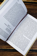 Север и Юг — фото, картинка — 4