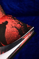 Дракула — фото, картинка — 8