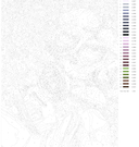 Картина по номерам 