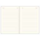 Ежедневник датированный на 2026 год 