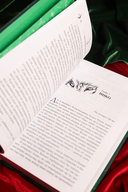 Ведьмам накладывают швы — фото, картинка — 11