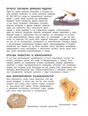 Динозавры. Полный иллюстрированный словарь — фото, картинка — 4