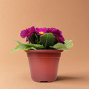 Набор горшков для рассады 