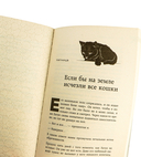 Если все кошки в мире исчезнут — фото, картинка — 7