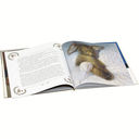 Плюшевый заяц, или Как игрушки становятся настоящими — фото, картинка — 3