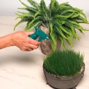 Опрыскиватель (250 мл) — фото, картинка — 2