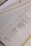 Мы долгое эхо друг друга — фото, картинка — 6