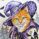 Набор для вышивания 