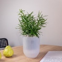 Горшок с дренажной системой 