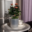 Горшок с дренажной системой 