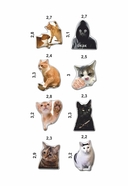 Набор 3D наклеек 