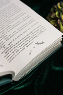 Бутоны зла. 31 история для мрачных вечеров — фото, картинка — 11