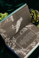 Бутоны зла. 31 история для мрачных вечеров — фото, картинка — 9