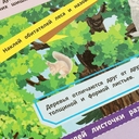 В лесу. Книга наклеек с заданиями — фото, картинка — 6