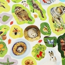 В лесу. Книга наклеек с заданиями — фото, картинка — 7