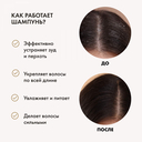 Шампунь для волос 