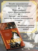 Кошки правят миром — фото, картинка — 2