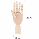 Манекен художественный 