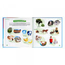 Ваш малыш. Шаг за шагом. Помесячный план развития 3+ — фото, картинка — 2