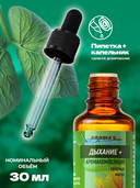 Водорастворимая аромакомпозиция эфирных масел 