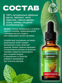 Водорастворимая аромакомпозиция эфирных масел 