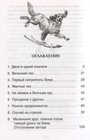 Белый Бим Чёрное ухо — фото, картинка — 1