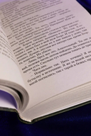 Последняя жертва озера грешников — фото, картинка — 4