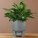 Цветочный горшок 