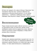 А леса у нас тихие — фото, картинка — 3