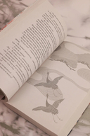 Демоница из статуэтки клана Чи Су — фото, картинка — 8