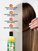 Шампунь для волос 