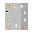 Набор обложек для дневников и тетрадей 