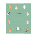 Набор обложек для дневников и тетрадей 