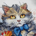 Набор для вышивания 