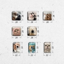 Набор 3D наклеек 