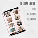 Набор 3D наклеек 