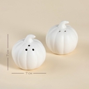 Набор для специй 