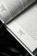 Клинок ночи — фото, картинка — 7