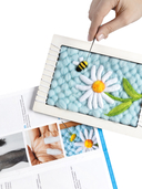 Набор для валяния из шерсти 