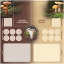 Грибы и корни. Делюкс-издание — фото, картинка — 8