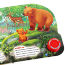 Зоопарк. Музыкальная книга (1 кнопка + 3 песенки) — фото, картинка — 1